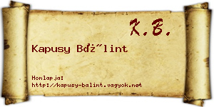 Kapusy Bálint névjegykártya